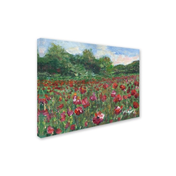 Manor Shadian 'Poppy Field Wood' Canvas Art,18x24